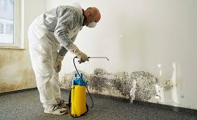 Why You Should Choose Our Mold Remediation Services in Trevorton, PA